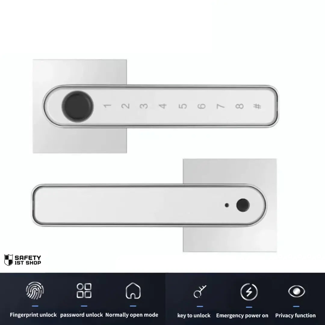 Silver smart door lock displayed with fingerprint, password, key, and app access icons