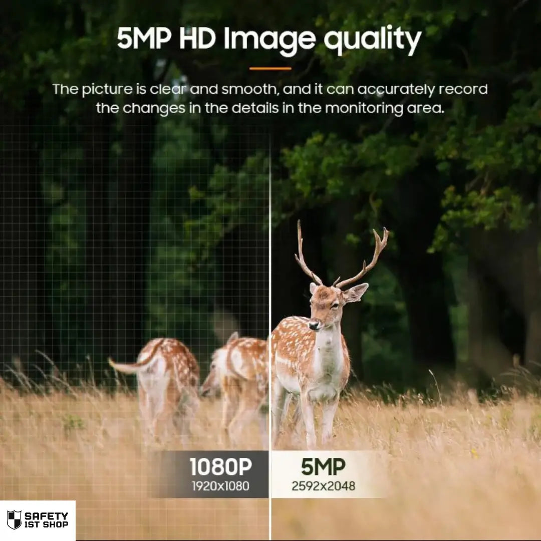 Comparison image showing 1080p vs 5MP wildlife surveillance – deer and roe captured in natural forest setting, highlighting HD image clarity and detail accuracy.